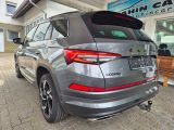 Skoda Kodiaq bei Sportwagen.expert - Abbildung (6 / 15)