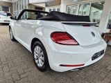 VW Beetle bei Sportwagen.expert - Abbildung (7 / 15)
