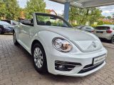 VW Beetle bei Sportwagen.expert - Abbildung (3 / 15)