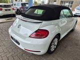 VW Beetle bei Sportwagen.expert - Abbildung (10 / 15)