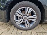 Renault Megane bei Sportwagen.expert - Abbildung (6 / 15)