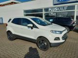 Ford EcoSport bei Sportwagen.expert - Abbildung (3 / 15)