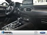 Mazda CX 5 bei Sportwagen.expert - Abbildung (6 / 15)