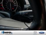 Mazda MX 5 bei Sportwagen.expert - Abbildung (14 / 15)