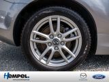 Mazda MX 5 bei Sportwagen.expert - Abbildung (4 / 15)