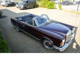 Mercedes-Benz 250 bei Sportwagen.expert - Abbildung (2 / 15)