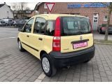 Fiat Panda bei Sportwagen.expert - Abbildung (4 / 15)