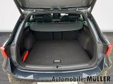 Cupra Leon bei Sportwagen.expert - Abbildung (10 / 15)