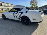Dodge Challenger bei Sportwagen.expert - Abbildung (9 / 15)
