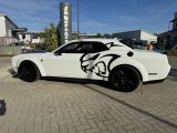 Dodge Challenger bei Sportwagen.expert - Abbildung (13 / 15)