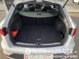 Seat Leon bei Sportwagen.expert - Abbildung (7 / 8)