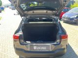 Citroen C4 Cactus bei Sportwagen.expert - Abbildung (5 / 15)