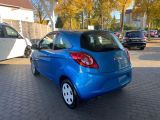 Ford Ka bei Sportwagen.expert - Abbildung (3 / 12)