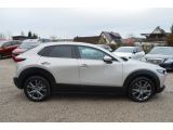 Mazda CX-30 bei Sportwagen.expert - Abbildung (6 / 15)