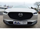 Mazda CX-30 bei Sportwagen.expert - Abbildung (3 / 15)
