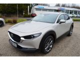 Mazda CX-30 bei Sportwagen.expert - Abbildung (2 / 15)