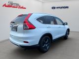 Honda CR-V bei Sportwagen.expert - Abbildung (3 / 15)