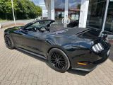 Ford Mustang bei Sportwagen.expert - Abbildung (13 / 15)