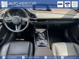 Mazda CX-30 bei Sportwagen.expert - Abbildung (11 / 14)