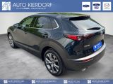 Mazda CX-30 bei Sportwagen.expert - Abbildung (6 / 14)