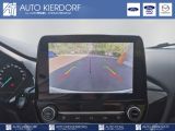Ford Puma bei Sportwagen.expert - Abbildung (12 / 12)