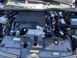 Citroen C4 bei Sportwagen.expert - Abbildung (5 / 12)