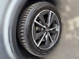 Nissan Qashqai bei Sportwagen.expert - Abbildung (7 / 12)