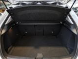 Mercedes-Benz A-Klasse bei Sportwagen.expert - Abbildung (13 / 15)