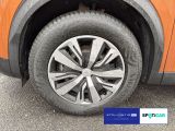 Peugeot 2008 bei Sportwagen.expert - Abbildung (10 / 15)