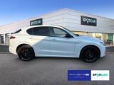 Alfa Romeo Stelvio bei Sportwagen.expert - Abbildung (4 / 15)