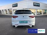 Alfa Romeo Stelvio bei Sportwagen.expert - Abbildung (5 / 15)