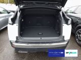 Peugeot 3008 bei Sportwagen.expert - Abbildung (11 / 15)