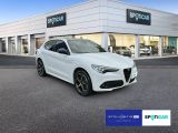 Alfa Romeo Stelvio bei Sportwagen.expert - Abbildung (5 / 15)