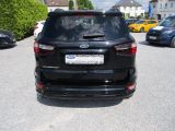 Ford EcoSport bei Sportwagen.expert - Abbildung (9 / 15)