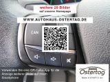 Ford Tourneo Custom bei Sportwagen.expert - Abbildung (15 / 15)