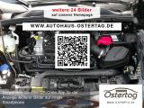 Ford Puma bei Sportwagen.expert - Abbildung (15 / 15)