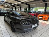 Ford Mustang bei Sportwagen.expert - Abbildung (6 / 15)