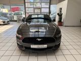 Ford Mustang bei Sportwagen.expert - Abbildung (2 / 15)