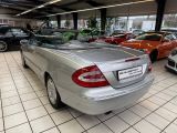 Mercedes-Benz CLK-Klasse bei Sportwagen.expert - Abbildung (8 / 15)