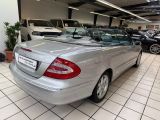 Mercedes-Benz CLK-Klasse bei Sportwagen.expert - Abbildung (6 / 15)