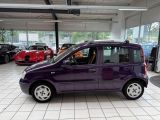 Fiat Panda bei Sportwagen.expert - Abbildung (5 / 15)