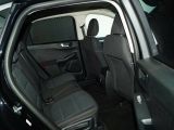 Ford Kuga bei Sportwagen.expert - Abbildung (15 / 15)