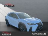 Lexus UX bei Sportwagen.expert - Abbildung (7 / 15)