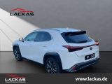 Lexus UX bei Sportwagen.expert - Abbildung (3 / 15)