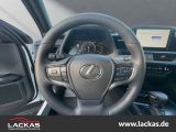 Lexus UX bei Sportwagen.expert - Abbildung (10 / 15)