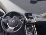 Lexus NX bei Sportwagen.expert - Abbildung (13 / 15)