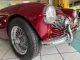 Austin Healey 100 bei Sportwagen.expert - Abbildung (11 / 15)