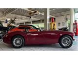 Austin Healey 100 bei Sportwagen.expert - Abbildung (10 / 15)