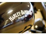 Harley-Davidson Fat Boy bei Sportwagen.expert - Abbildung (6 / 15)