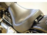 Harley-Davidson Fat Boy bei Sportwagen.expert - Abbildung (11 / 15)